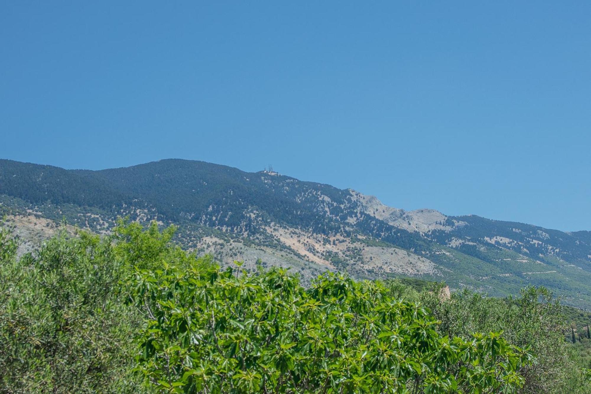 Trapezaki Garden Villas Μουσάτα Εξωτερικό φωτογραφία